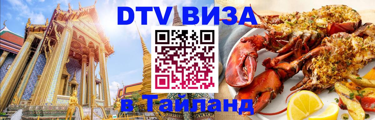 Сколько стоит DTV виза — актуальные цены, оформление даже без документов - 09.01.2026 